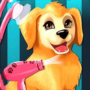 Become A Puppy Groomer